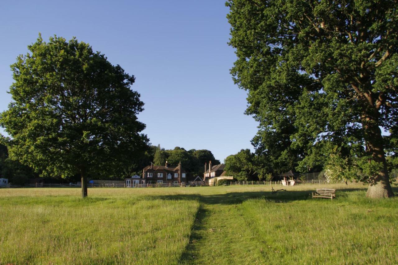 Bewl Rookery B&B Wadhurst 外观 照片